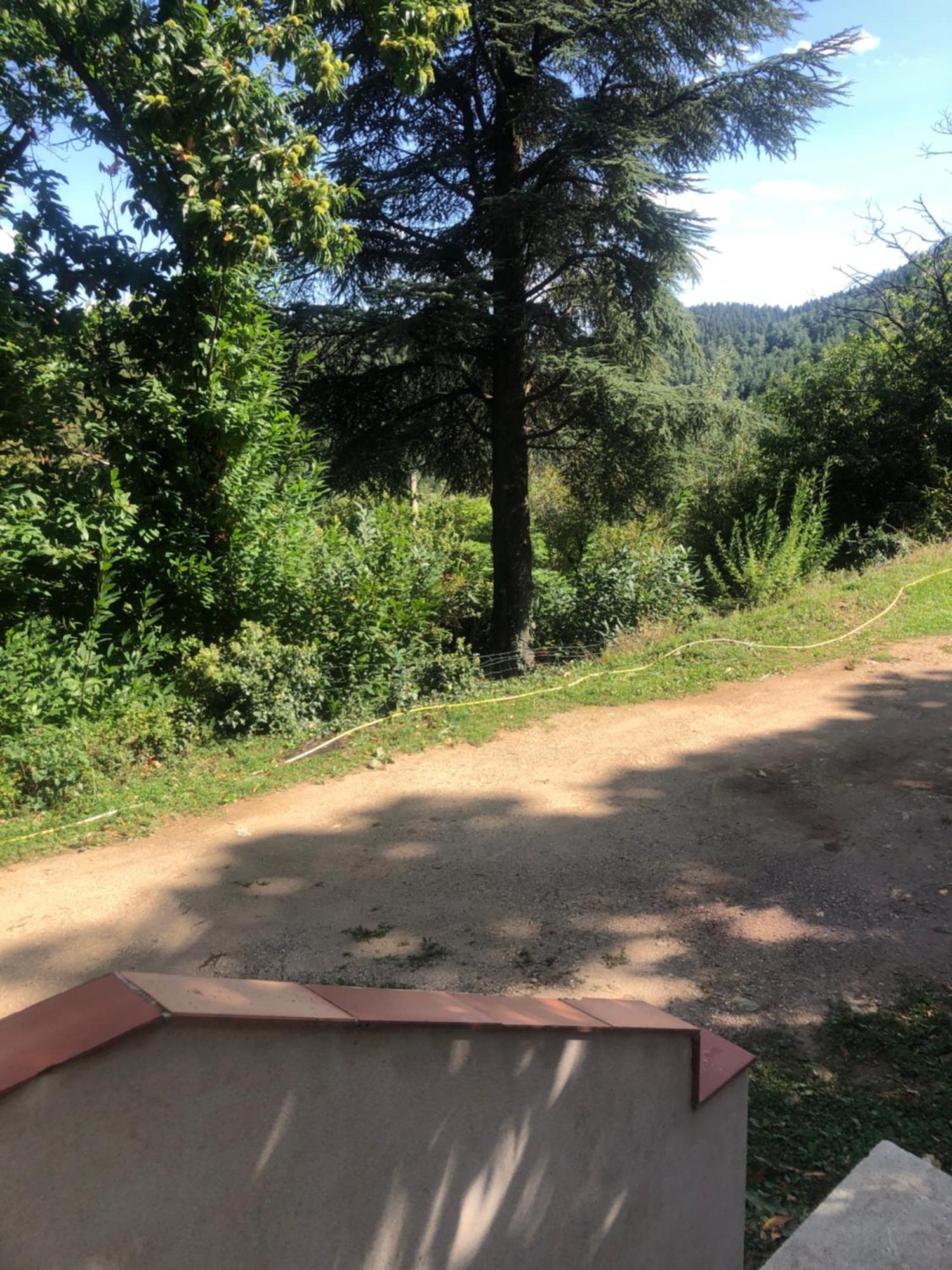 Homestay Dans Les Cevennes Concoules