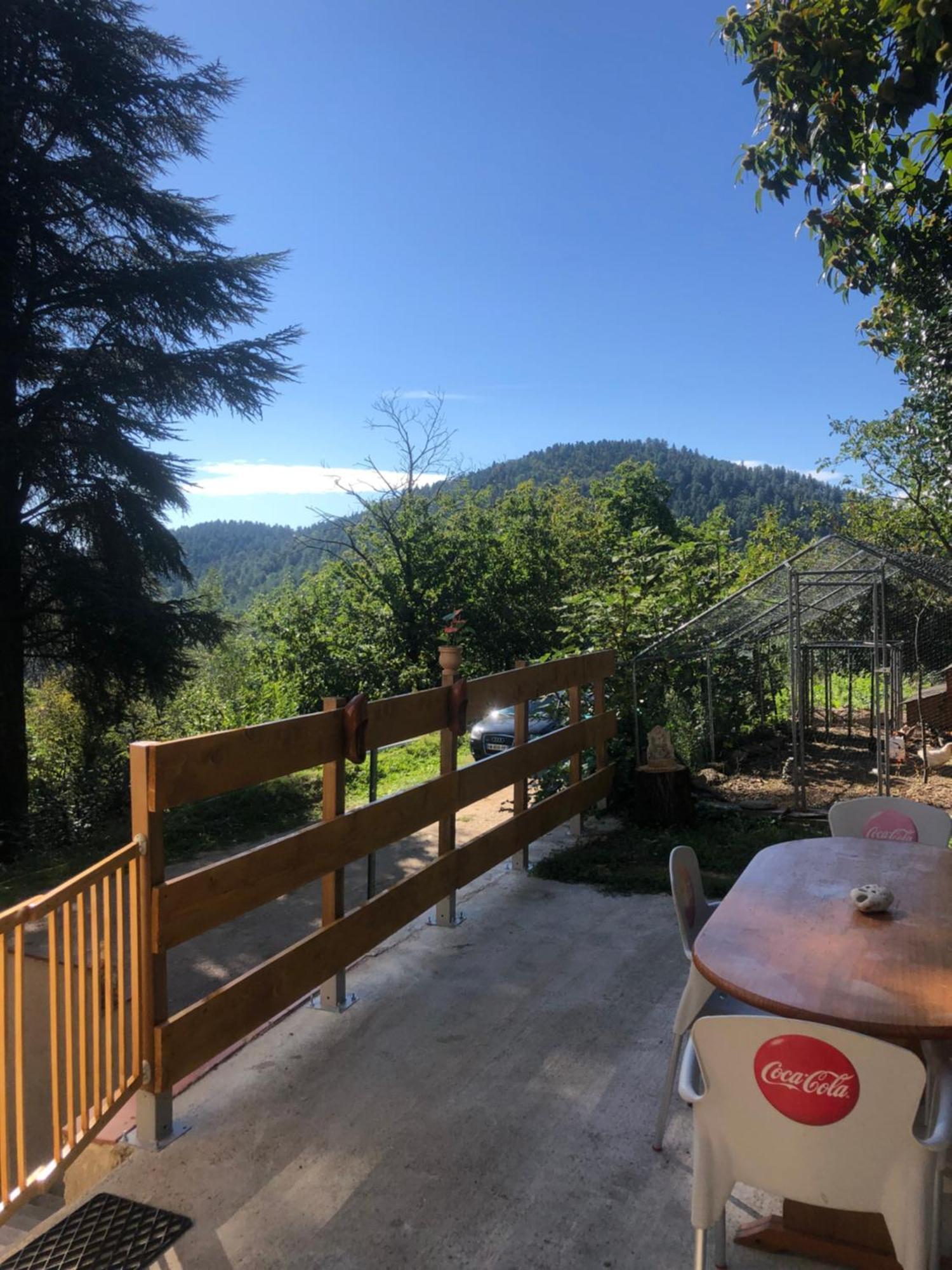 Dans Les Cevennes * Concoules